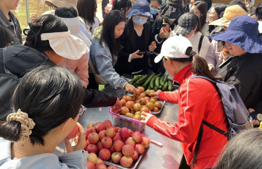 富硒蔬菜捐款（捐赠蔬菜）-硒宝网
