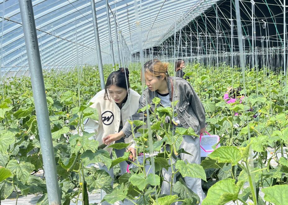 富硒蔬菜捐款（捐赠蔬菜）-硒宝网