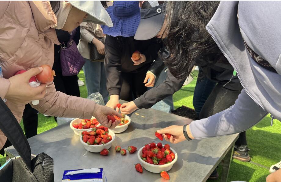 富硒蔬菜捐款（捐赠蔬菜）-硒宝网