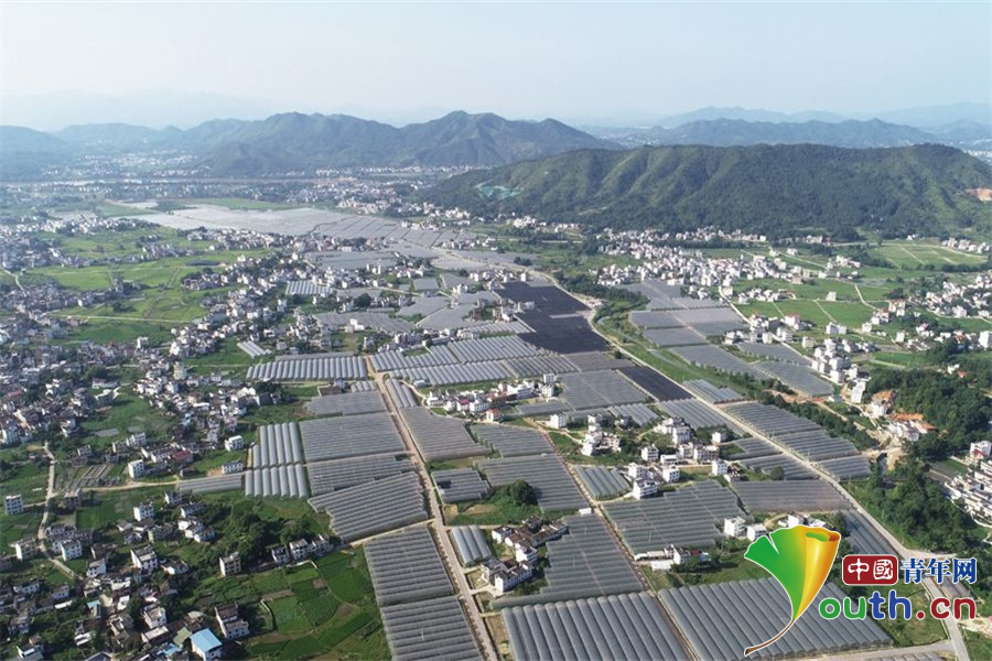 盐城富硒蔬菜(富硒蔬菜多少钱一斤)-硒宝网