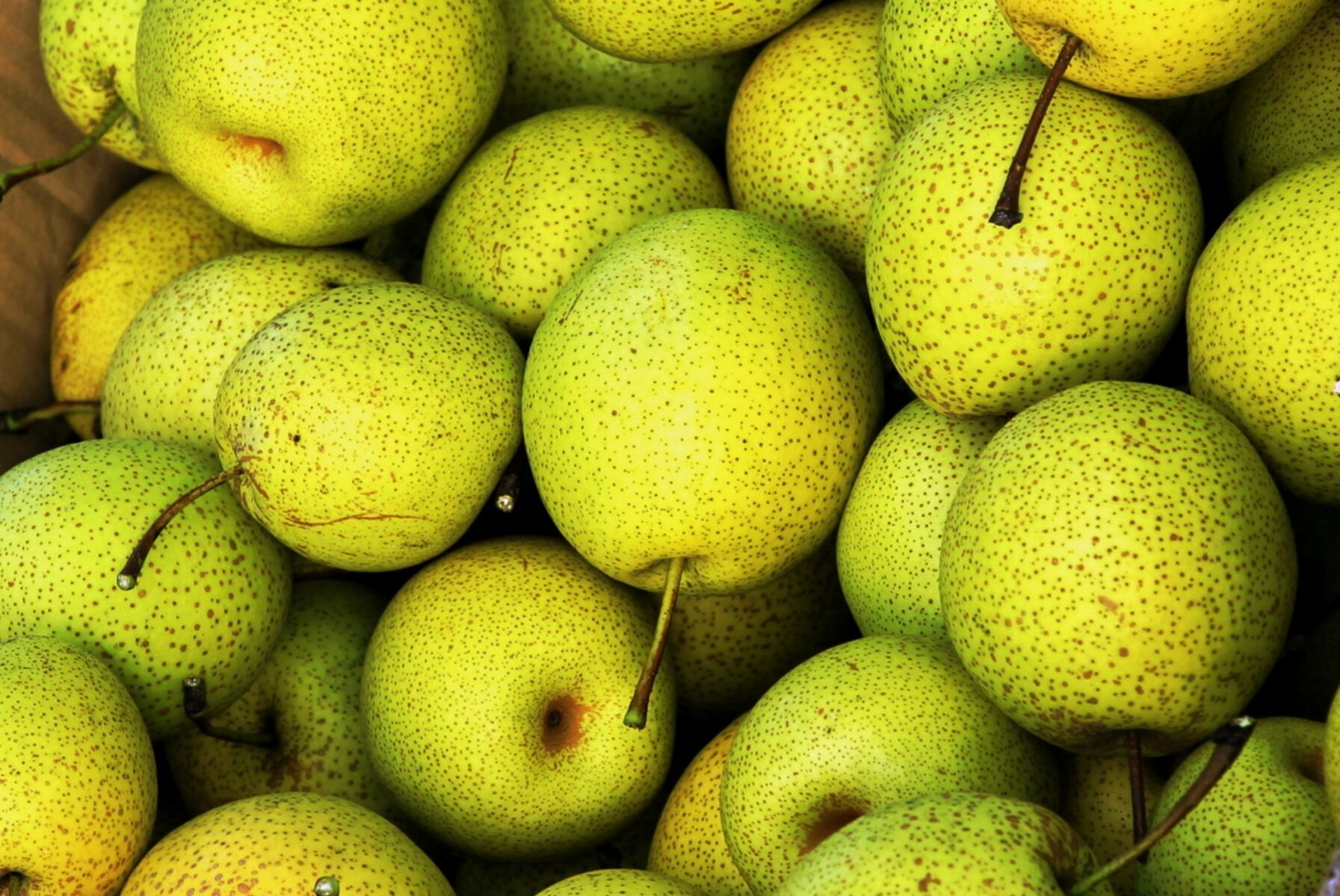 晋城富硒蔬菜（富硒蔬菜价格比普通蔬菜）-硒宝网