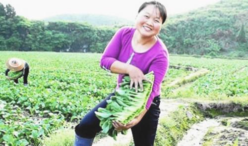 北京富硒蔬菜（富硒蔬菜的标准）-硒宝网