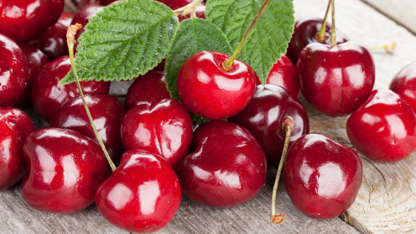 什么蔬菜补铁效果最好(哪种蔬菜补铁效果好)-硒宝网