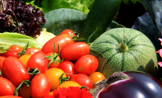 什么蔬菜补铁效果最好（蔬菜什么补铁最好）-硒宝网