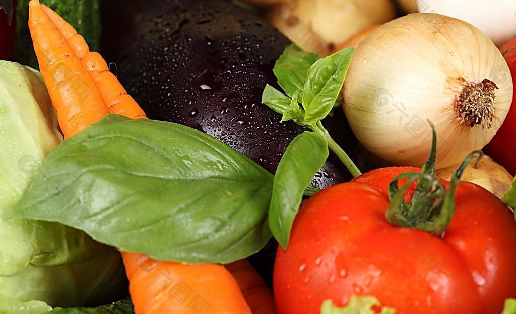 盐城富硒蔬菜（富硒蔬菜产业园）-硒宝网