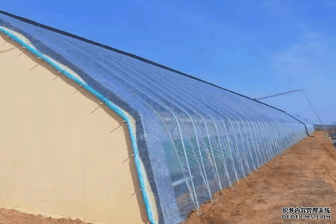 大连富硒蔬菜（大连富硒樱桃）-硒宝网