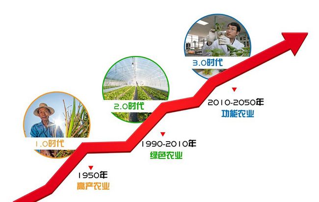 赣州富硒蔬菜(富硒蔬菜价格比普通蔬菜)-硒宝网