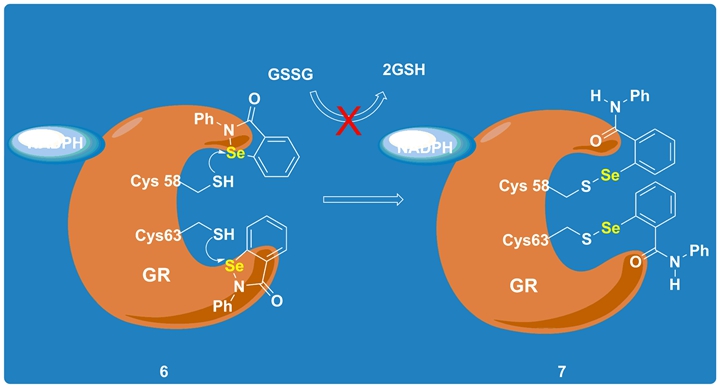 富硒蔬菜开发（富硒蔬菜种植技术）-硒宝网