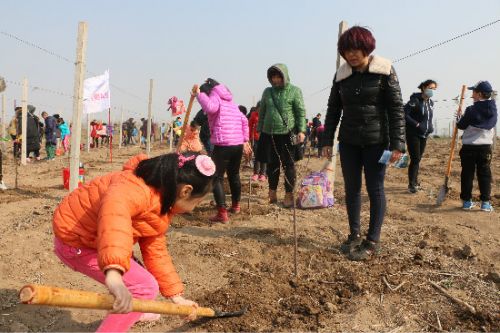 济南富硒蔬菜(济南蔬菜富硒饼干厂家)-硒宝网
