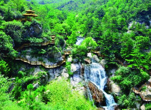 济南富硒蔬菜(济南蔬菜富硒饼干厂家)-硒宝网