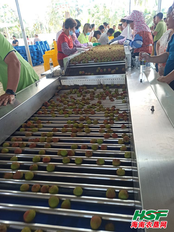 济南富硒蔬菜(济南富硒公司)-硒宝网