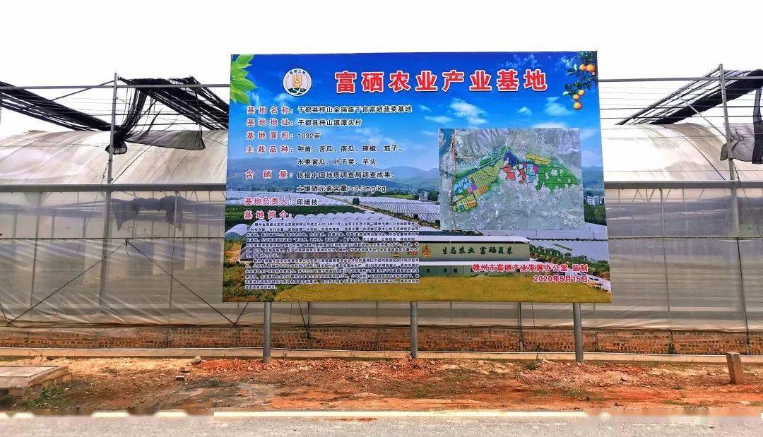 济南富硒蔬菜(济南富硒公司)-硒宝网