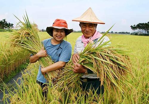 江西富硒蔬菜(江西富硒地区)-硒宝网