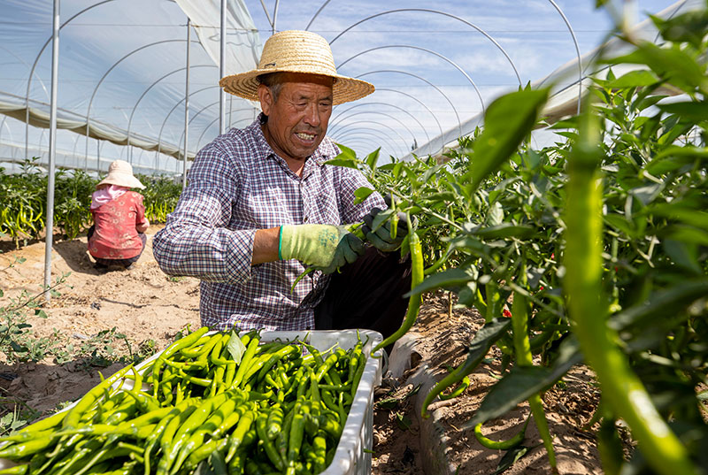 江西富硒蔬菜(江西富硒地区)-硒宝网