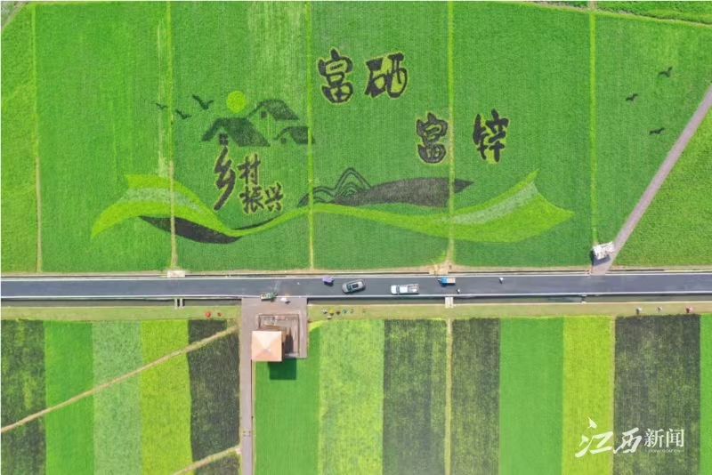 富硒蔬菜赣州(江西富硒)-硒宝网