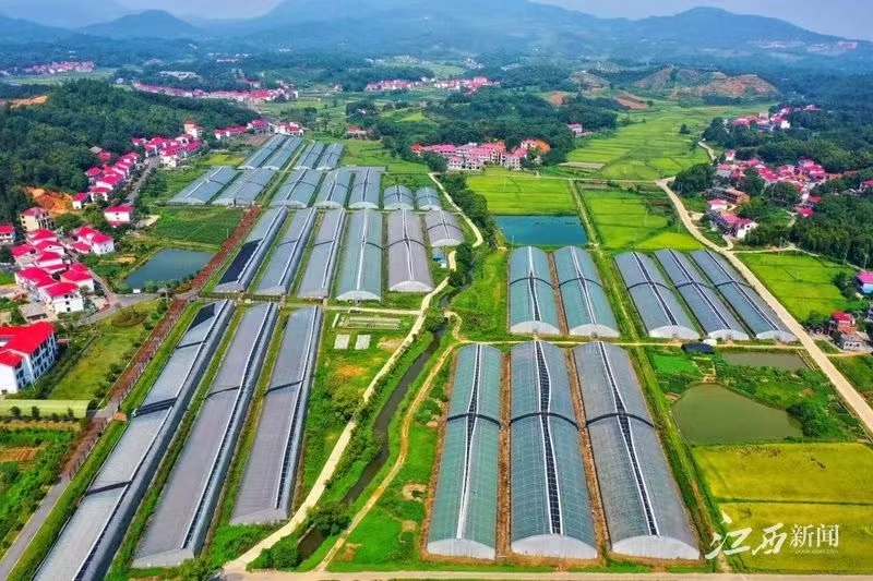 富硒蔬菜赣州(江西富硒)-硒宝网