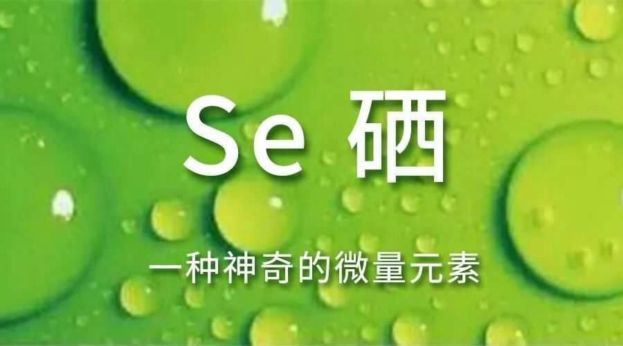 富硒c 蔬菜（蔬菜富硒排行）-硒宝网