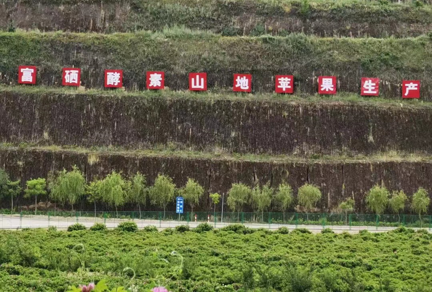 富硒酵素蔬菜(富硒水果酵素)-硒宝网