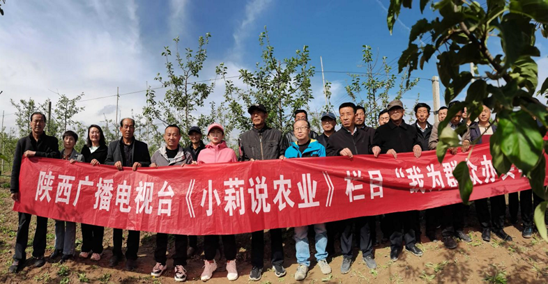 富硒酵素蔬菜(富硒水果酵素)-硒宝网