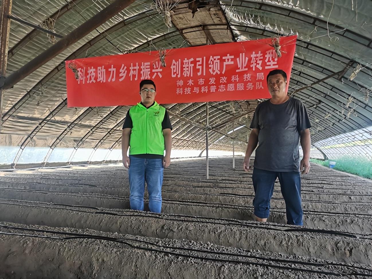 富硒酵素蔬菜(富硒水果酵素)-硒宝网