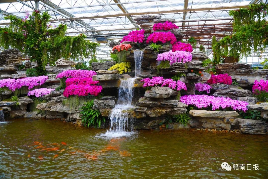 河北富硒蔬菜（河北富硒带）-硒宝网