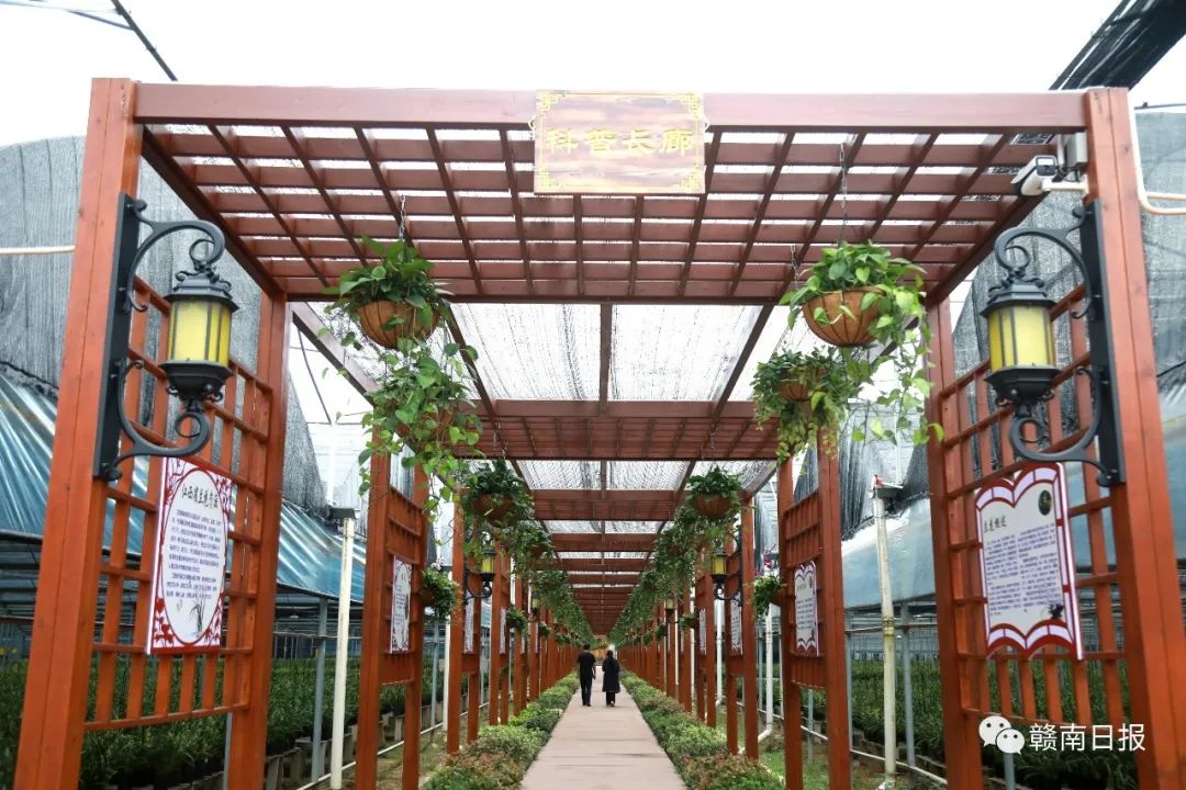 河北富硒蔬菜（河北富硒带）-硒宝网