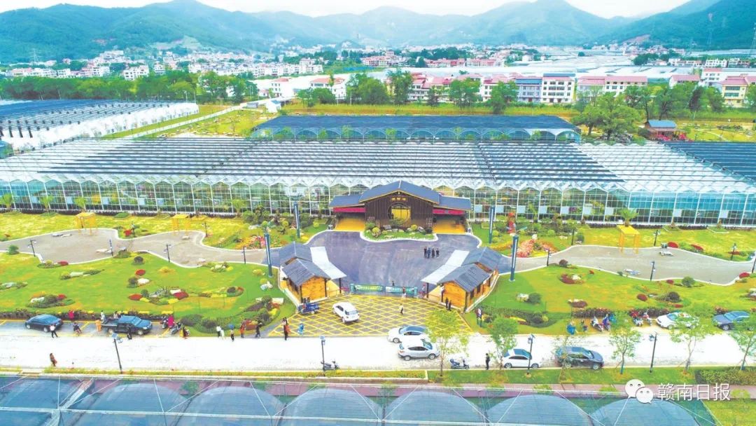 河北富硒蔬菜（河北富硒带）-硒宝网