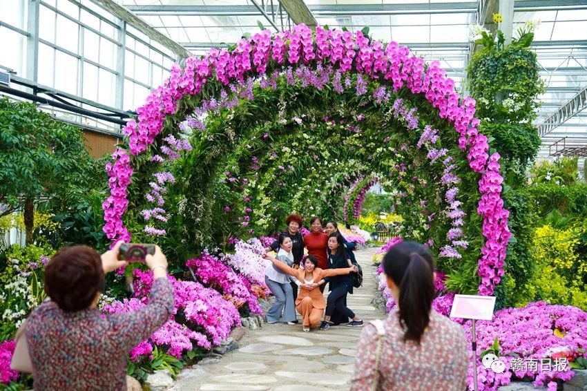 河北富硒蔬菜（河北富硒带）-硒宝网