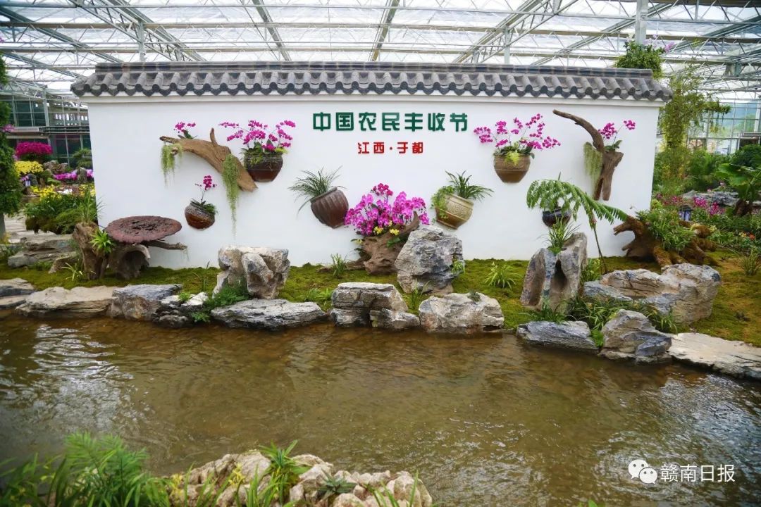 河北富硒蔬菜（河北富硒带）-硒宝网