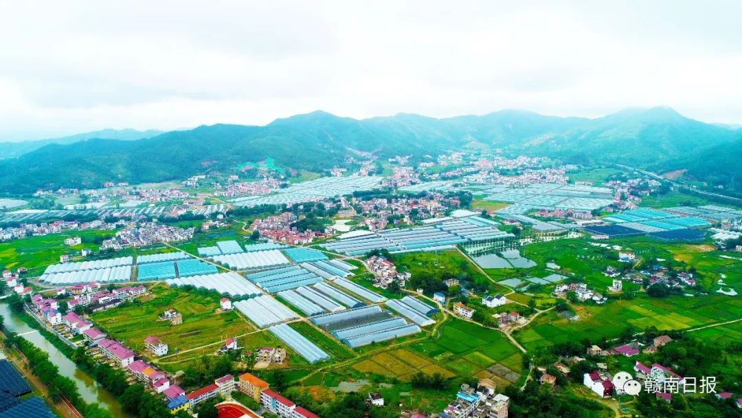 河北富硒蔬菜（河北富硒带）-硒宝网