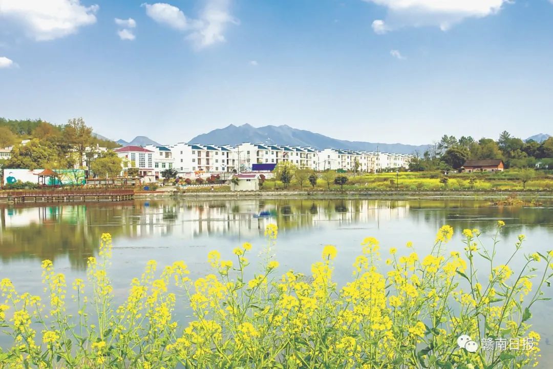 河北富硒蔬菜（河北富硒带）-硒宝网