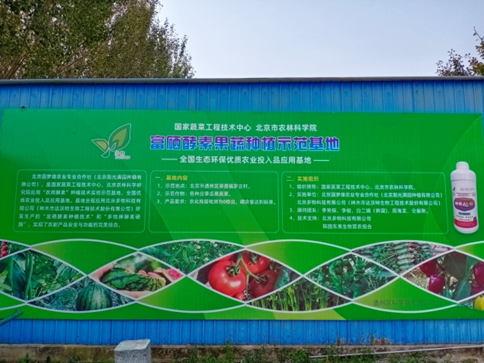 富硒酵素蔬菜(酵素硒对作物的作用)-硒宝网