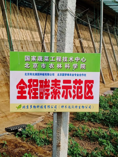 富硒酵素蔬菜(酵素硒对作物的作用)-硒宝网