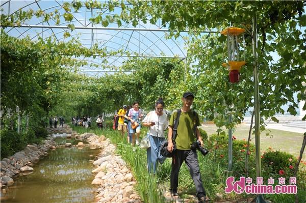 张店富硒蔬菜(富硒蔬菜多少钱一斤)-硒宝网