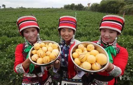 文山富硒蔬菜（富硒蔬菜价格比普通蔬菜）-硒宝网