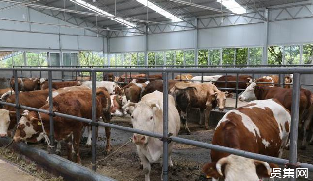 赤峰富硒蔬菜(富硒蔬菜的好处)-硒宝网