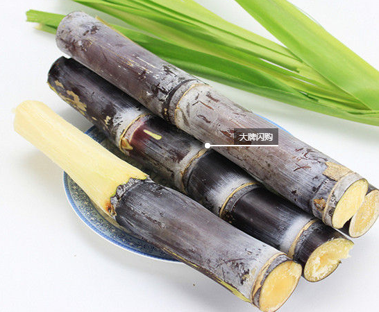 吃什么蔬菜补铁(吃蔬菜能补铁吗)-硒宝网