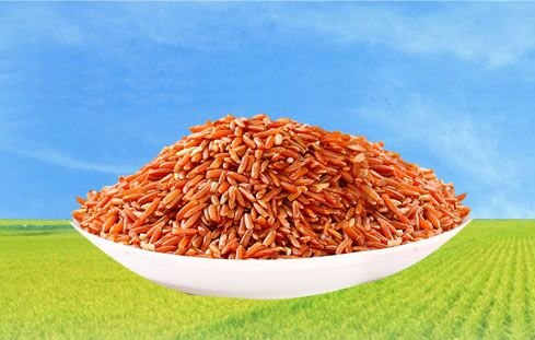 荆州富硒蔬菜(荆州蔬菜价格官网)-硒宝网