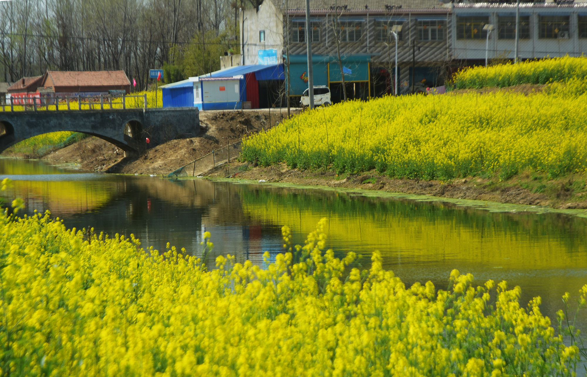 富硒蔬菜宣传(富硒农产品广告词)-硒宝网
