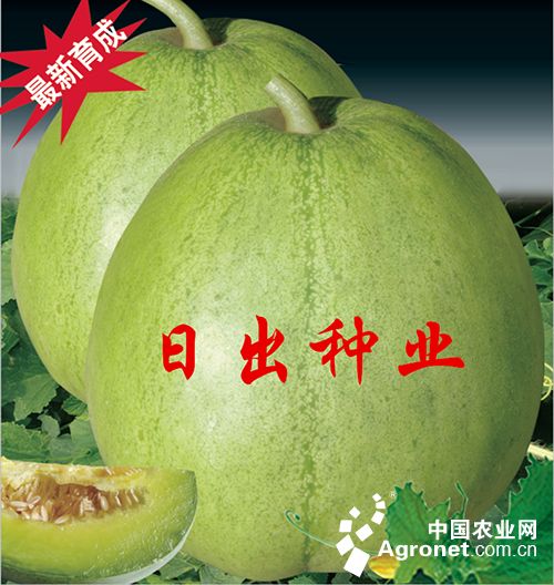 宁波富硒蔬菜（富硒蔬菜产业园）-硒宝网