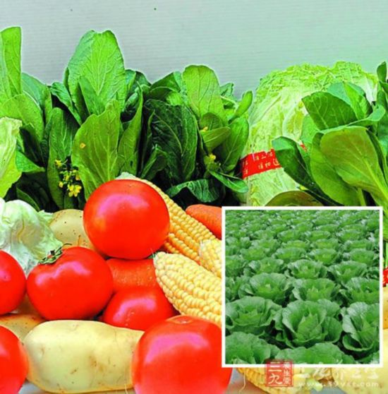 松原富硒蔬菜(富硒菜价格)-硒宝网