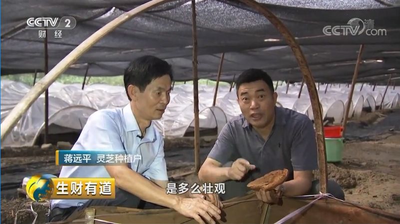 巴马富硒蔬菜（蔬菜巴马富硒含量）-硒宝网