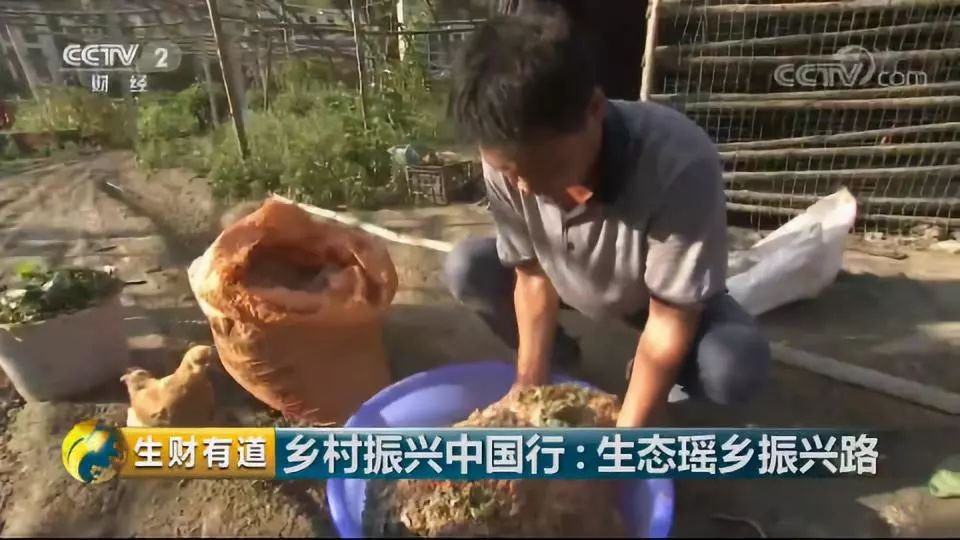 巴马富硒蔬菜（蔬菜巴马富硒含量）-硒宝网