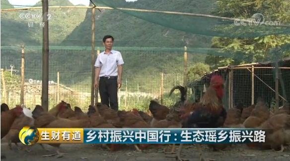 巴马富硒蔬菜（蔬菜巴马富硒含量）-硒宝网