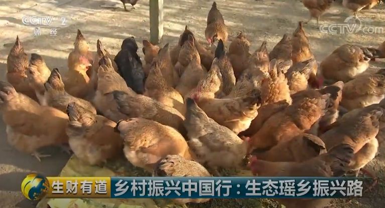 巴马富硒蔬菜（蔬菜巴马富硒含量）-硒宝网