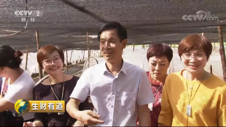 巴马富硒蔬菜（蔬菜巴马富硒含量）-硒宝网