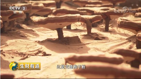 巴马富硒蔬菜（蔬菜巴马富硒含量）-硒宝网