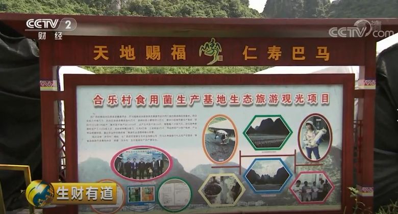 巴马富硒蔬菜（蔬菜巴马富硒含量）-硒宝网