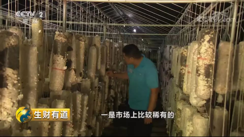 巴马富硒蔬菜（蔬菜巴马富硒含量）-硒宝网