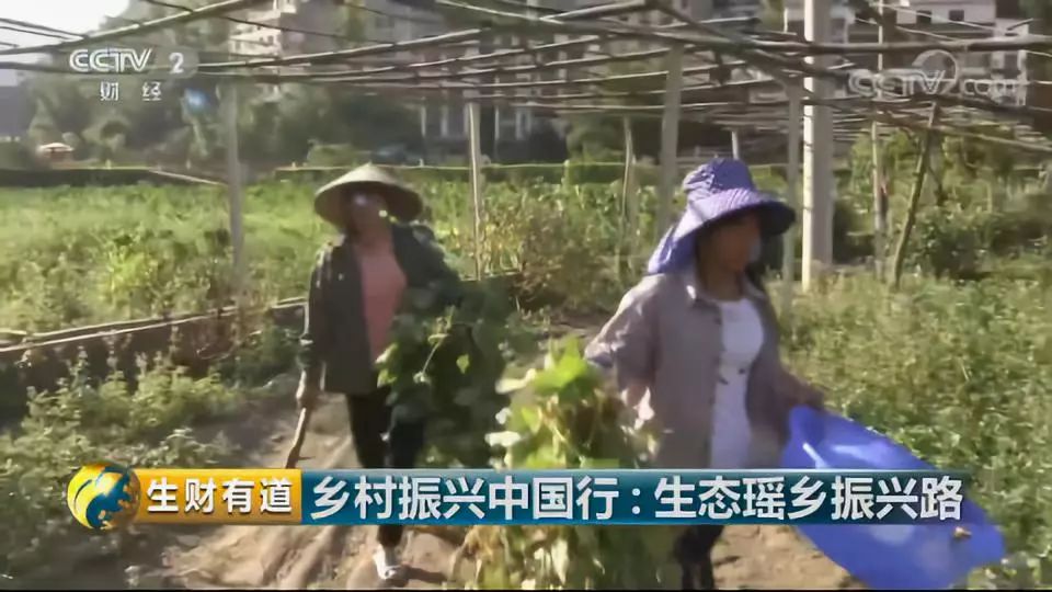 巴马富硒蔬菜（蔬菜巴马富硒含量）-硒宝网